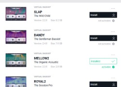 Ujam Virtual Bassist: Rowdy, Mellow, Slap, Dandy, Royal